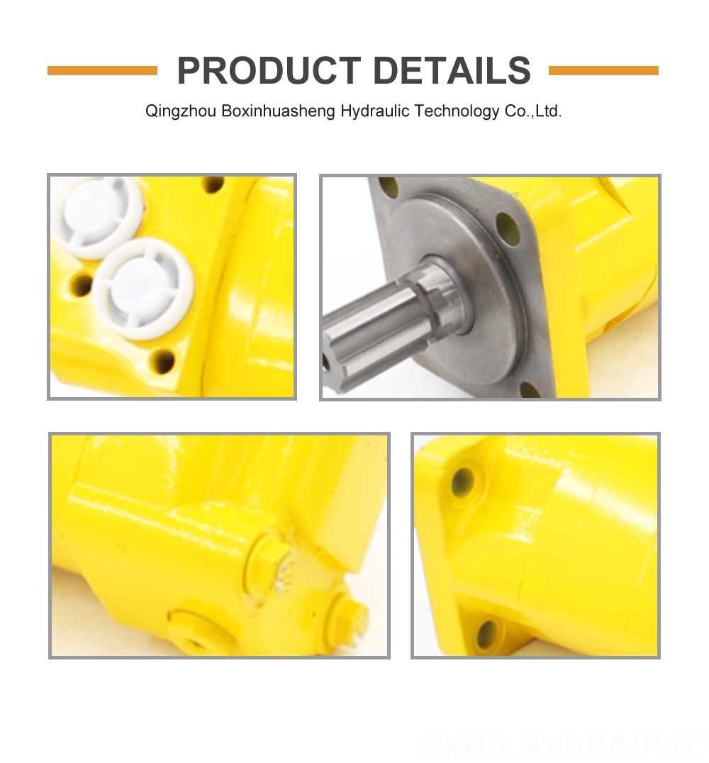 BM5_Cycloid Hydraulic Motor-2 100 cc/r 75 Lpm Hydraulic Motor detailed image